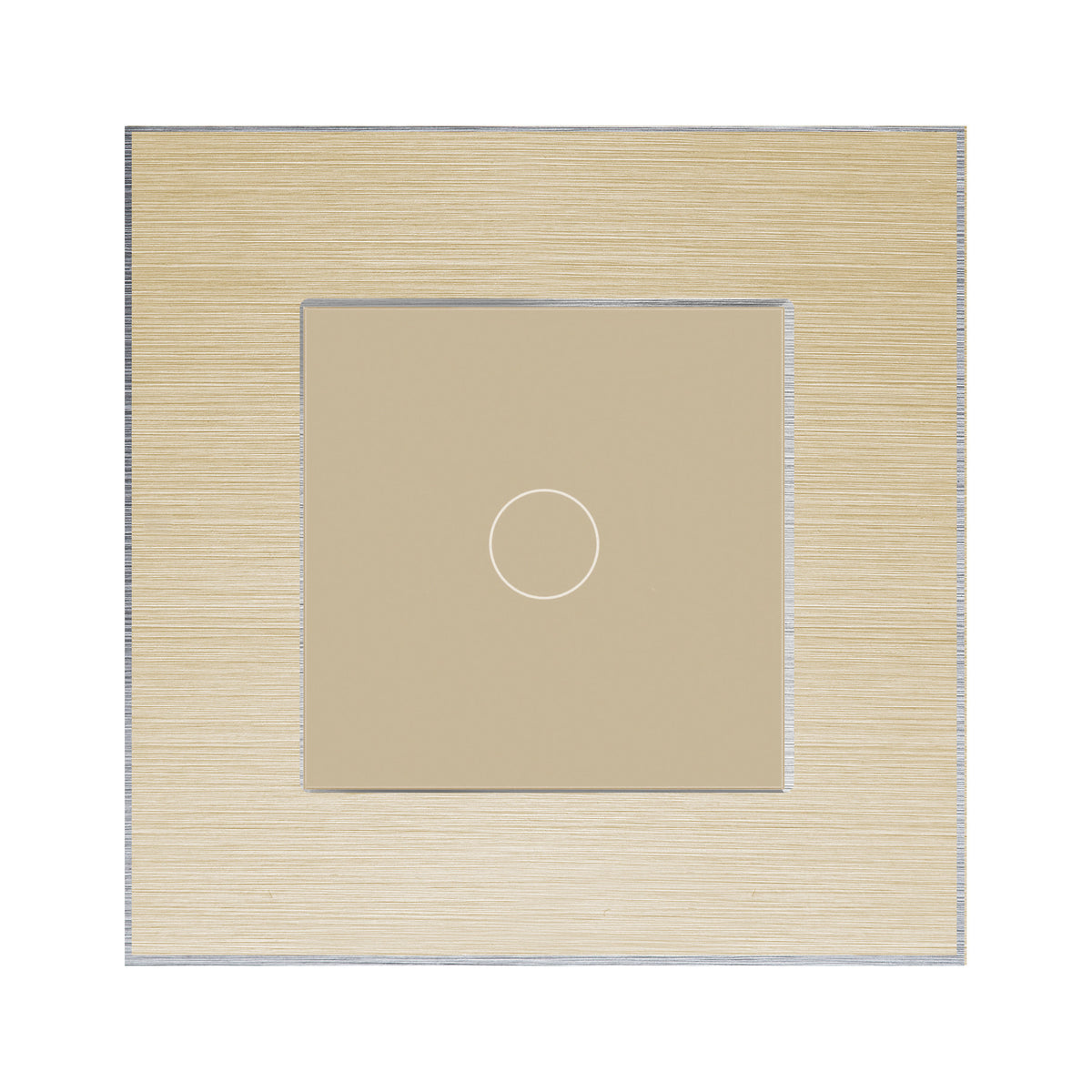 Vienvietis auksinis aliuminio rėmelis su vienpole moduline panele (auksinė)