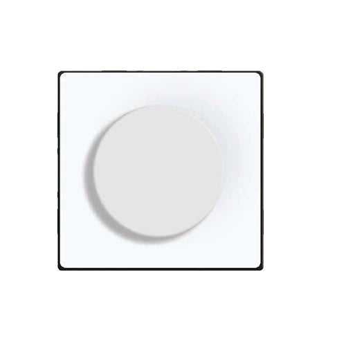 Vienpolis mechaninis jungiklis, dimeris (baltas)