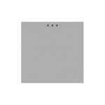 Vienpolis mechaninis jungiklis, perjungėjas (pilkas)