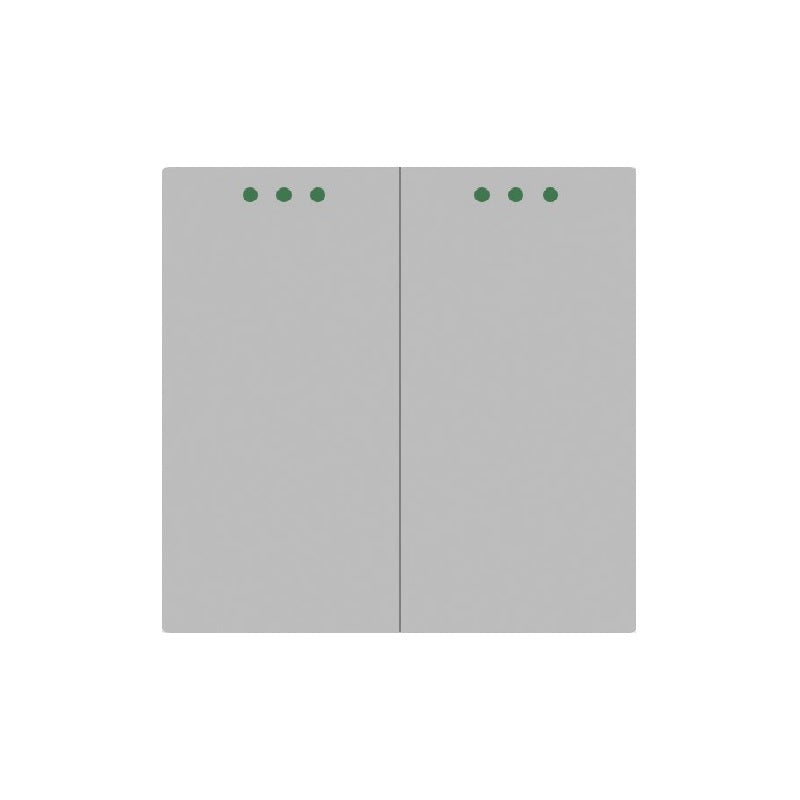 Dvipolis mechaninis jungiklis, perjungėjas (pilkas)