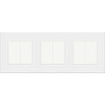 Trivietis dvipolis mechaninis jungiklis su plastikiniu rėmeliu (baltas)