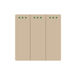 Tripolis mechaninis jungiklis, perjungėjas (auksinis)