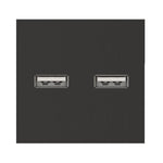 Dvigubas USB lizdas (juodos spalvos, su įkrovimu)