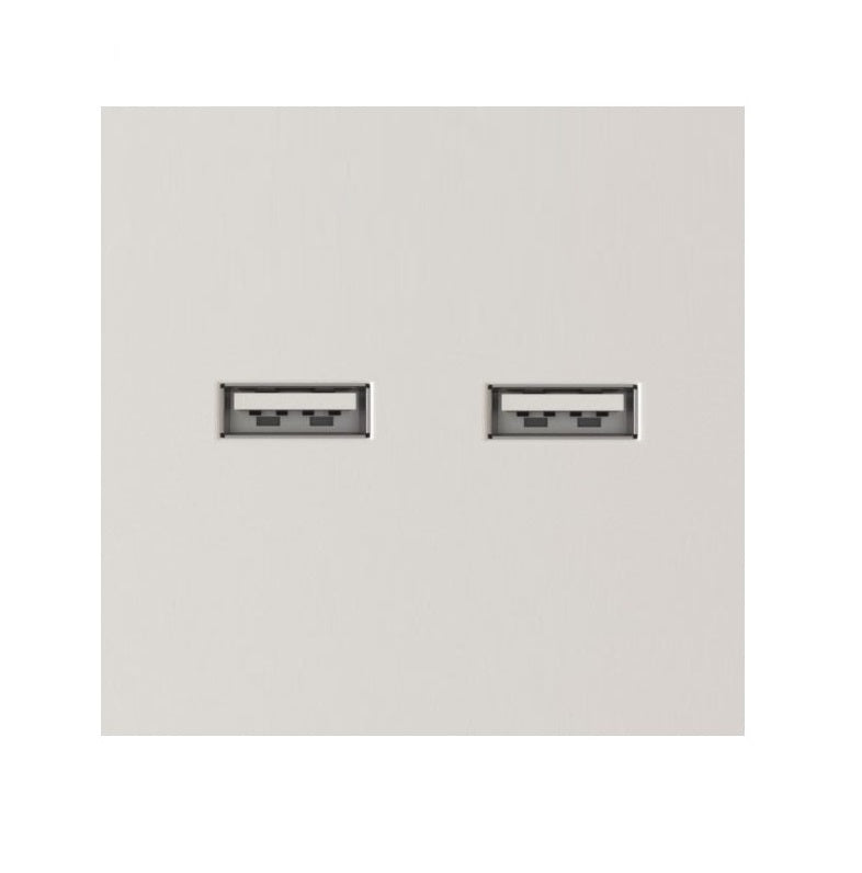 Dvigubas USB lizdas (baltos spalvos, su įkrovimu)