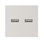 Dvigubas USB lizdas (baltos spalvos, su įkrovimu)