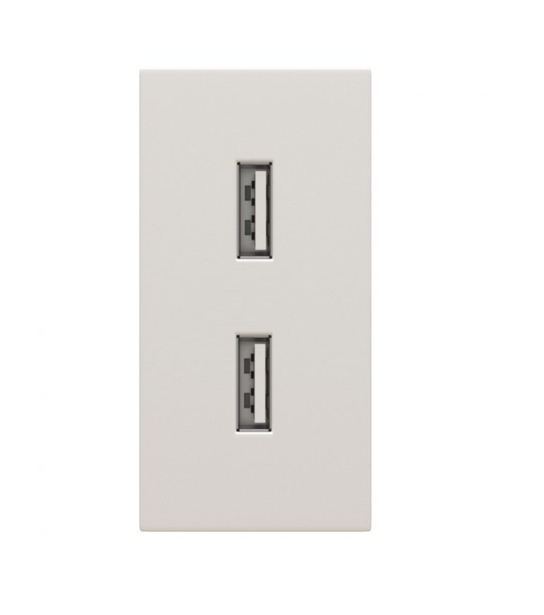 Dvigubas USB lizdas (baltos spalvos, su įkrovimu)