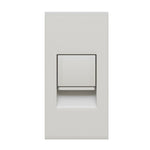 Interneto lizdas (baltos spalvos)