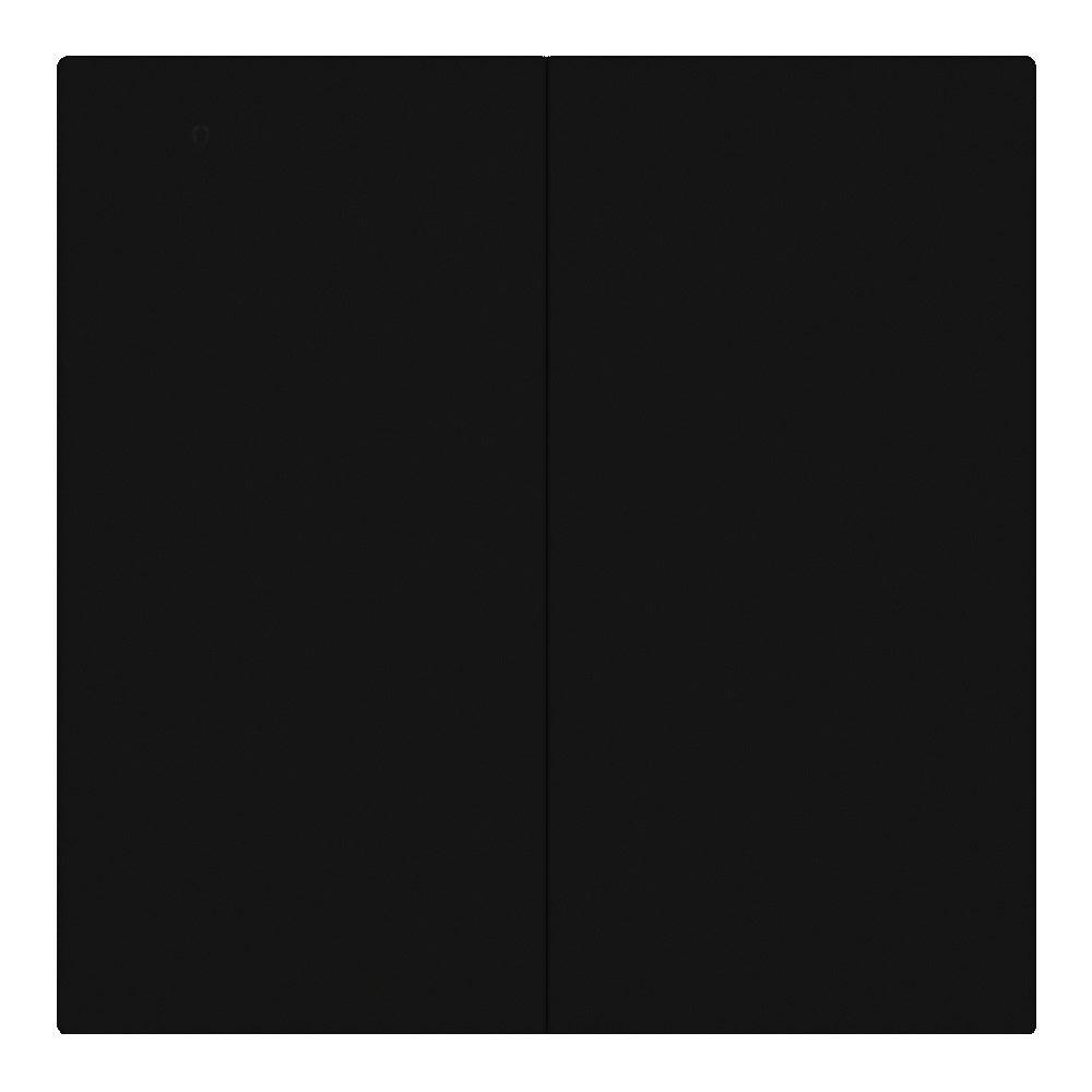 Dvipolis mechaninis jungiklis, perjungėjas (juodas)