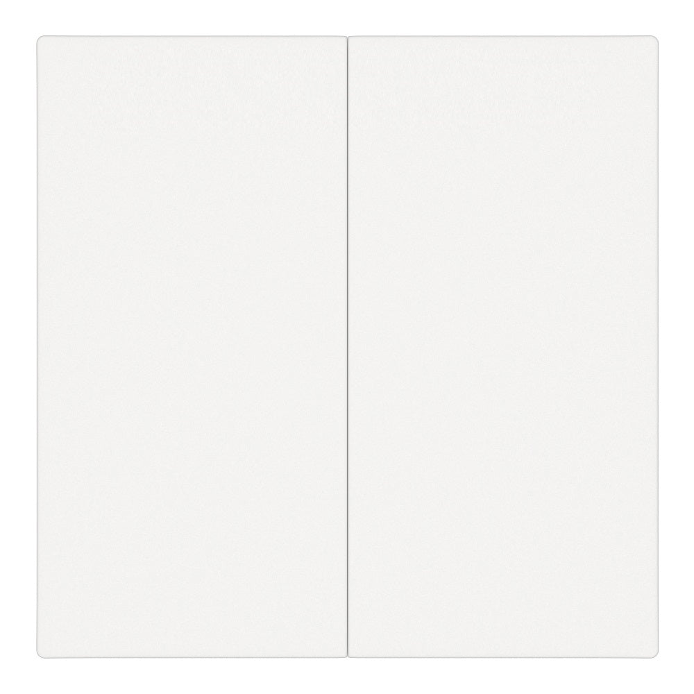 Dvipolis mechaninis jungiklis, perjungėjas (baltas)