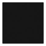 Vienpolis mechaninis jungiklis, perjungėjas (juodas)