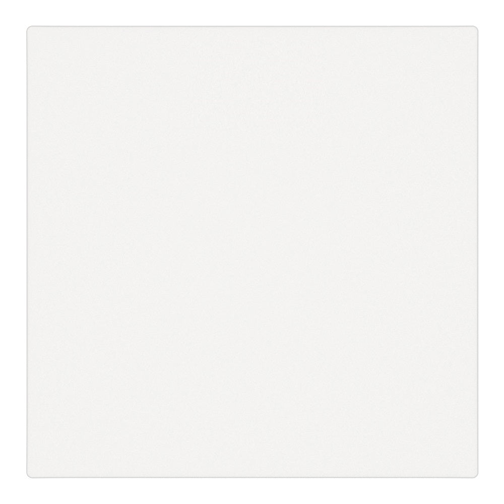 Vienpolis mechaninis jungiklis (baltas)