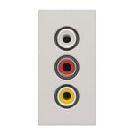 RCA lizdas baltos spalvos