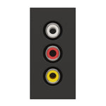 RCA lizdas juodos spalvos