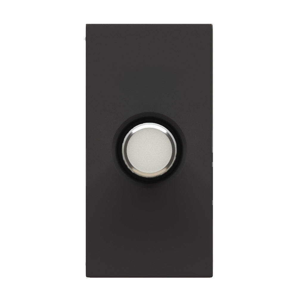 TV lizdas (juodos spalvos)