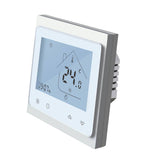 Termsotatas baltos spalvos