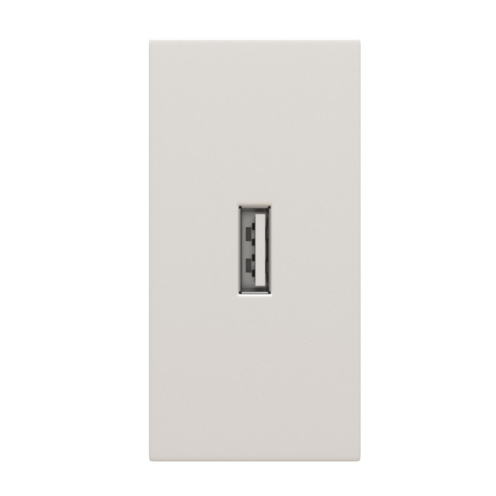 USB lizdas (baltos spalvos, be įkrovimo)