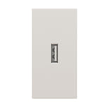 USB lizdas (baltos spalvos, be įkrovimo)