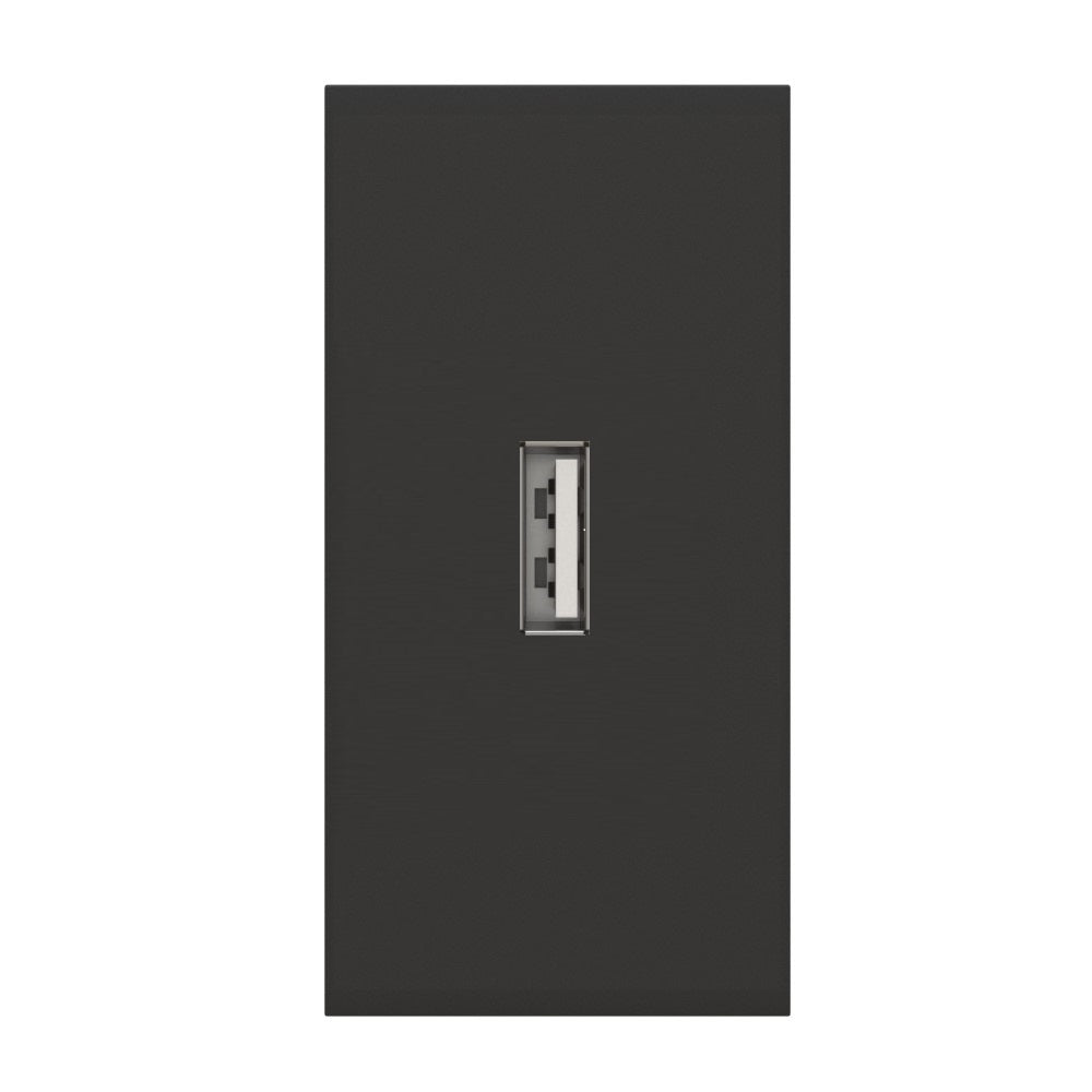 USB lizdas (juodos spalvos, be įkrovimo)