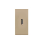 HDMI lizdas (auksinis)