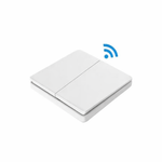 Belaidis jungiklis (dvipolis)